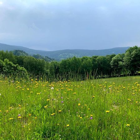 Apartmany Stare-Hory Krkonose Roudnice Dış mekan fotoğraf