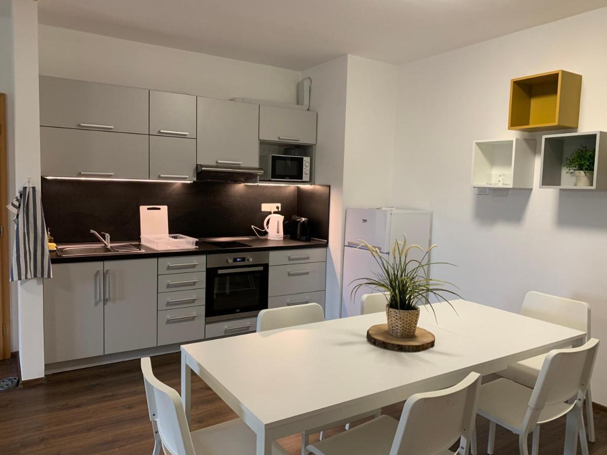 Apartmany Stare-Hory Krkonose Roudnice Dış mekan fotoğraf