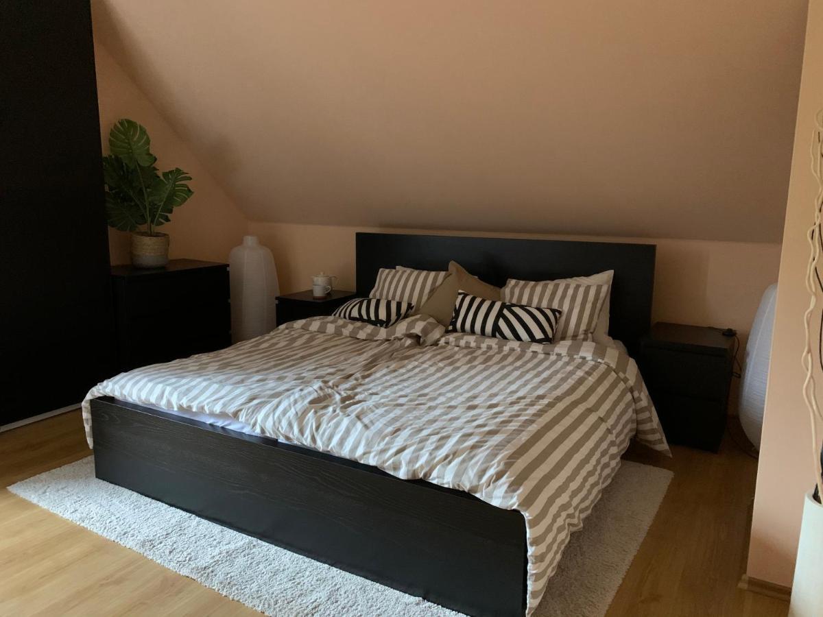 Apartmany Stare-Hory Krkonose Roudnice Dış mekan fotoğraf