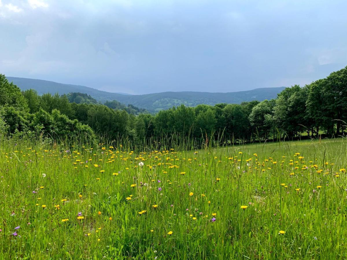 Apartmany Stare-Hory Krkonose Roudnice Dış mekan fotoğraf