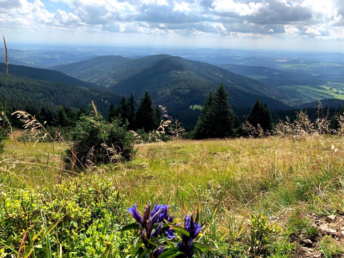 Apartmany Stare-Hory Krkonose Roudnice Dış mekan fotoğraf
